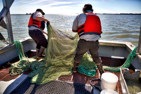 Delta monitoring 5-2-17