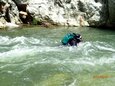 U.S. Fish and Wildlife Service biologist snorkel survey 3