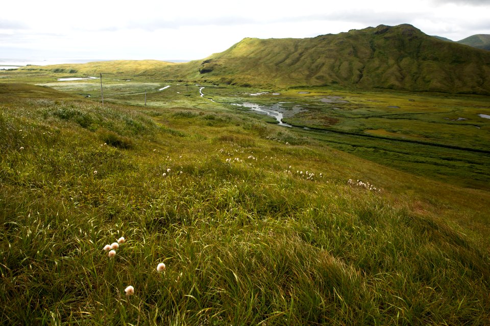 Henderson Valley, Attu
