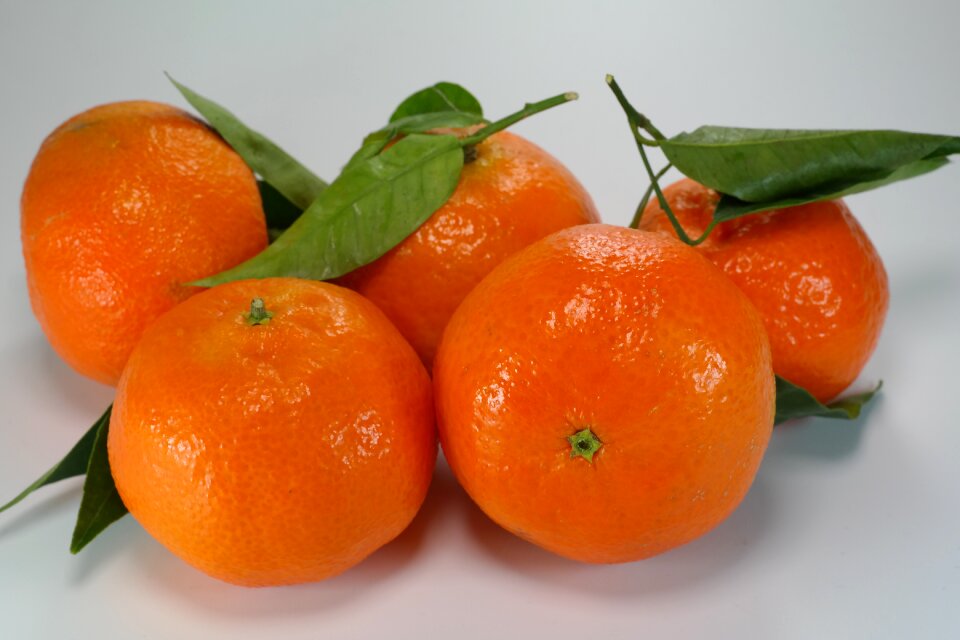 Citrus fruit orange fruits