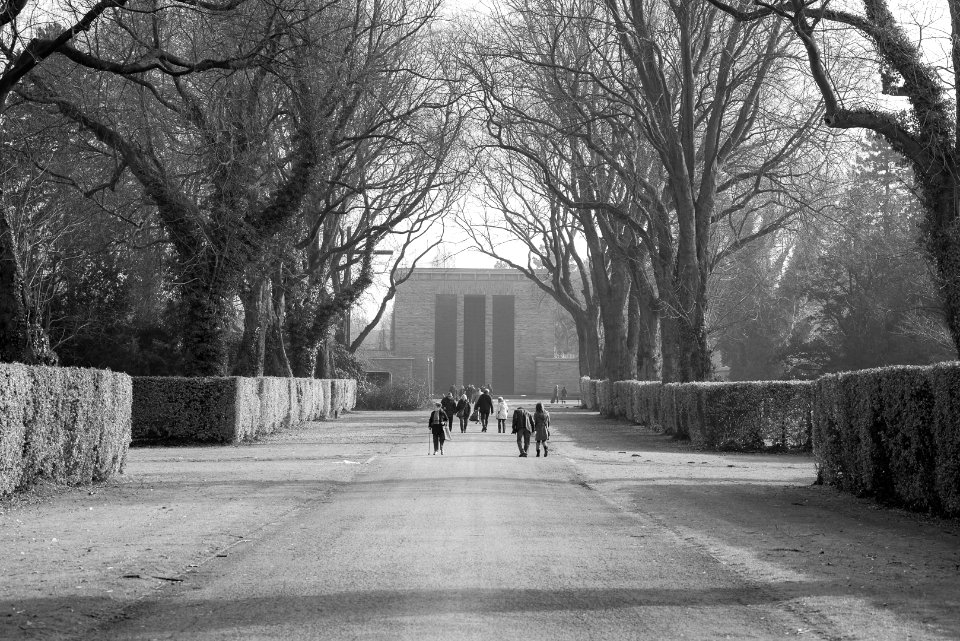 neulich auf dem Friedhof photo