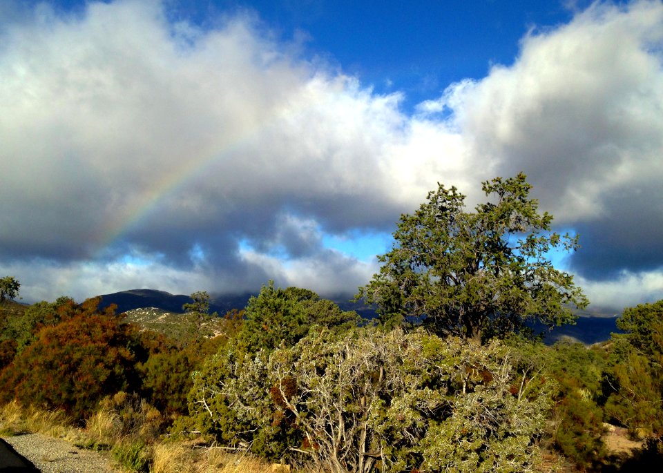 Santa Rosa and San Jacinto National Monument