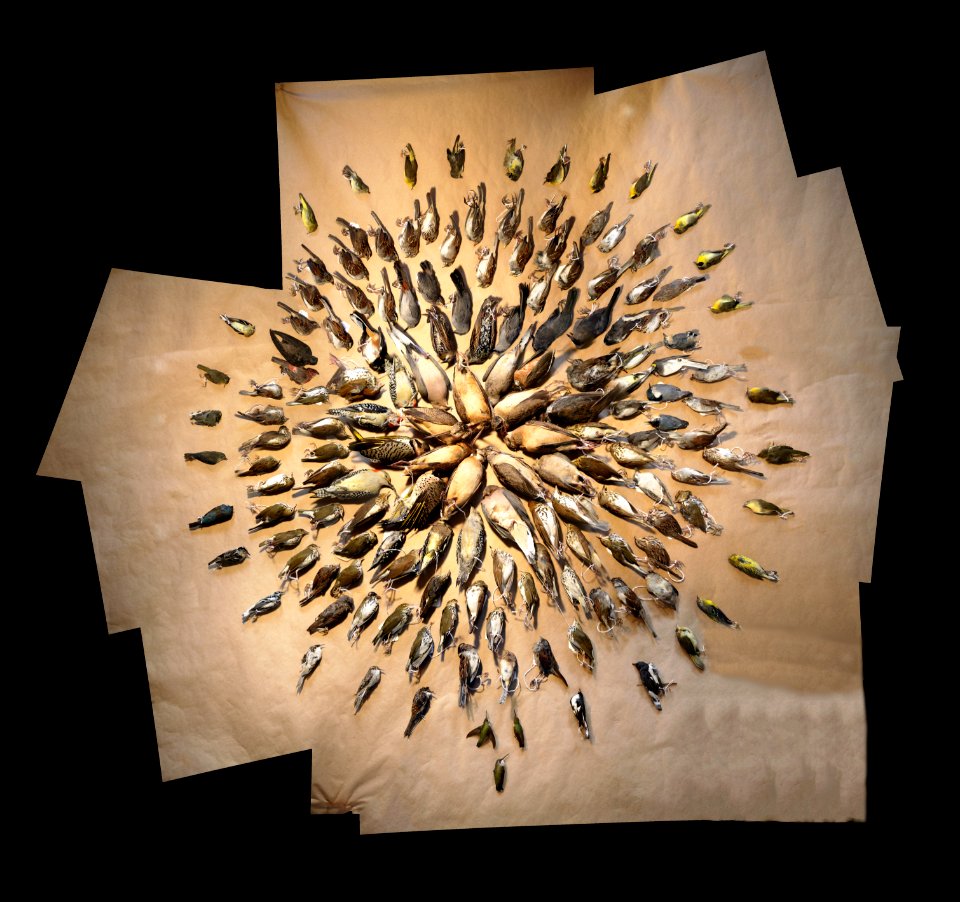 2013LightsOutDC Stiched circle