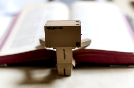 Danbo reading... photo