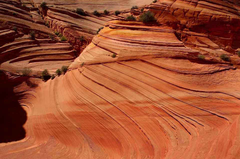 07 - South Coyote Buttes -36