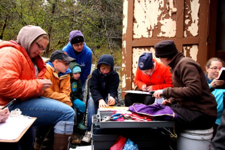 Volunteers learn to identify landbirds at a banding station photo