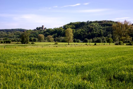 water meadow in the Ruhr river valley photo