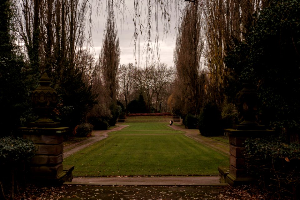 Neulich auf dem Friedhof photo