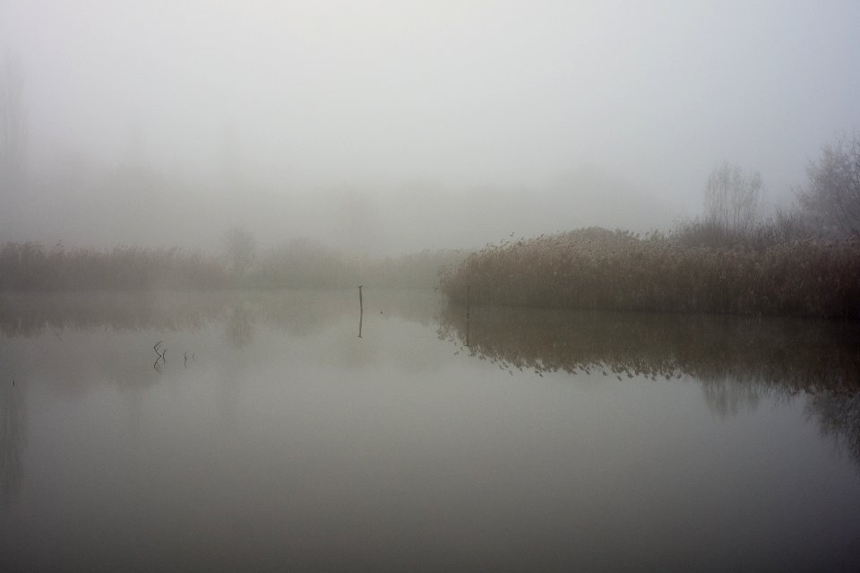 more fog photo