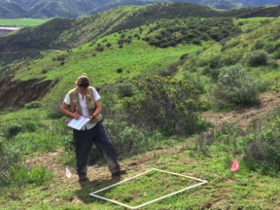 Collecting data at seeding trials