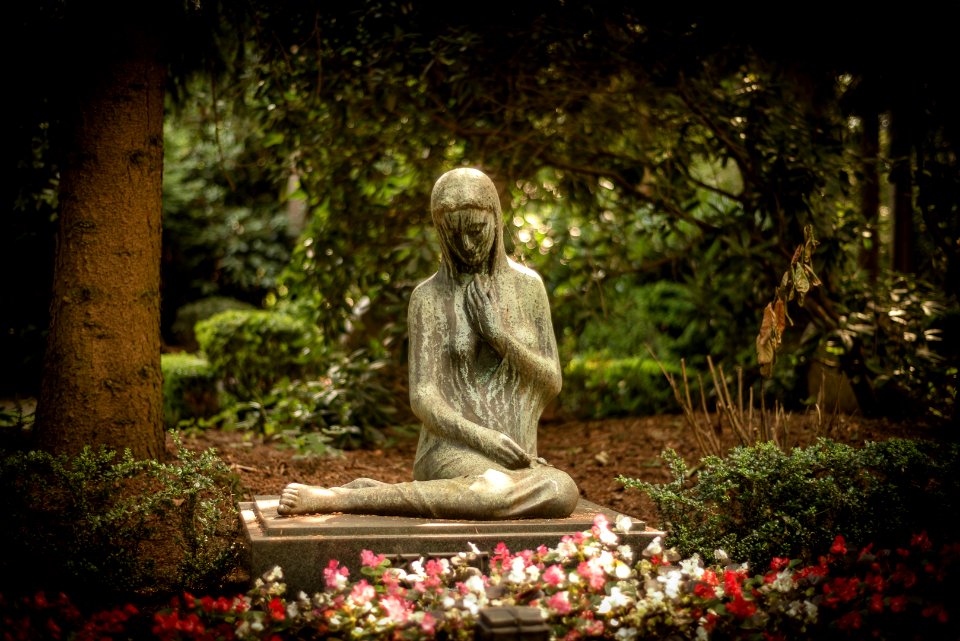 20130804 - Neulich auf dem Friedhof (1)
