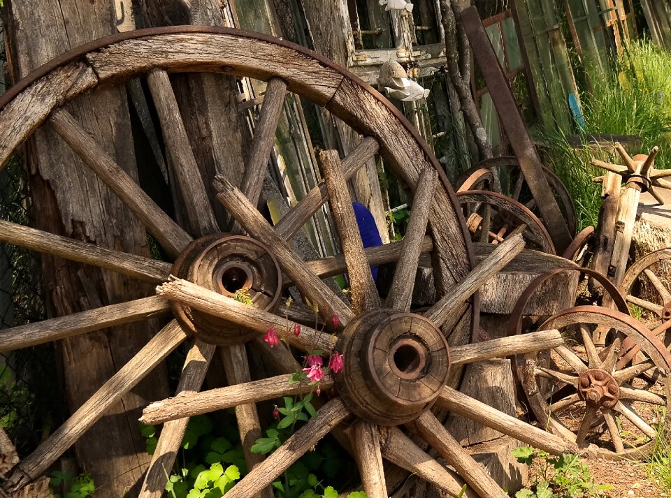Old wheels old wooden wheels photo