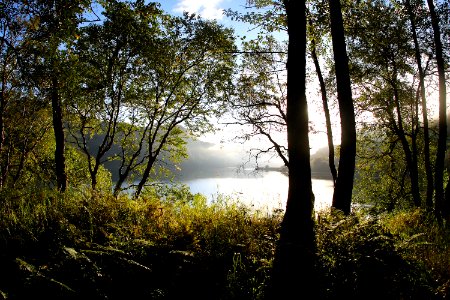 Uganik Lake View