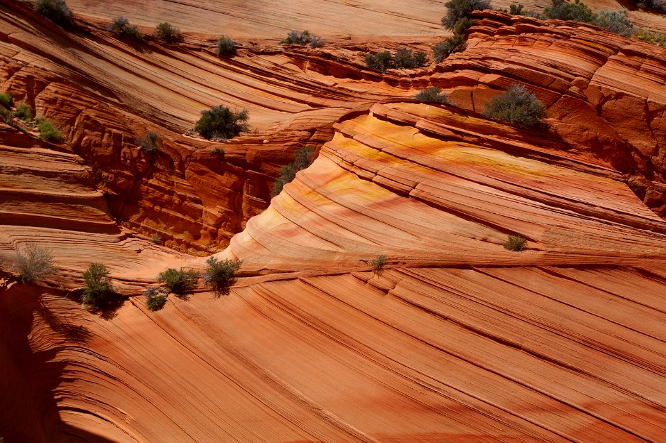 07 - South Coyote Buttes -34