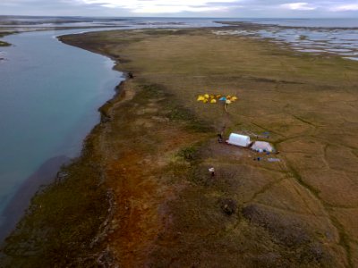 2019 Arctic Virtual Bird Fest