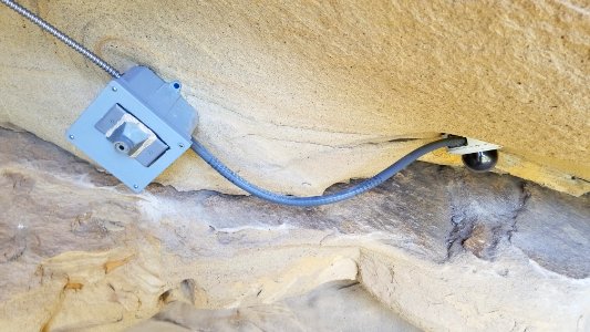 The 2019 live streaming Condor Cam in a wild California condor nest.