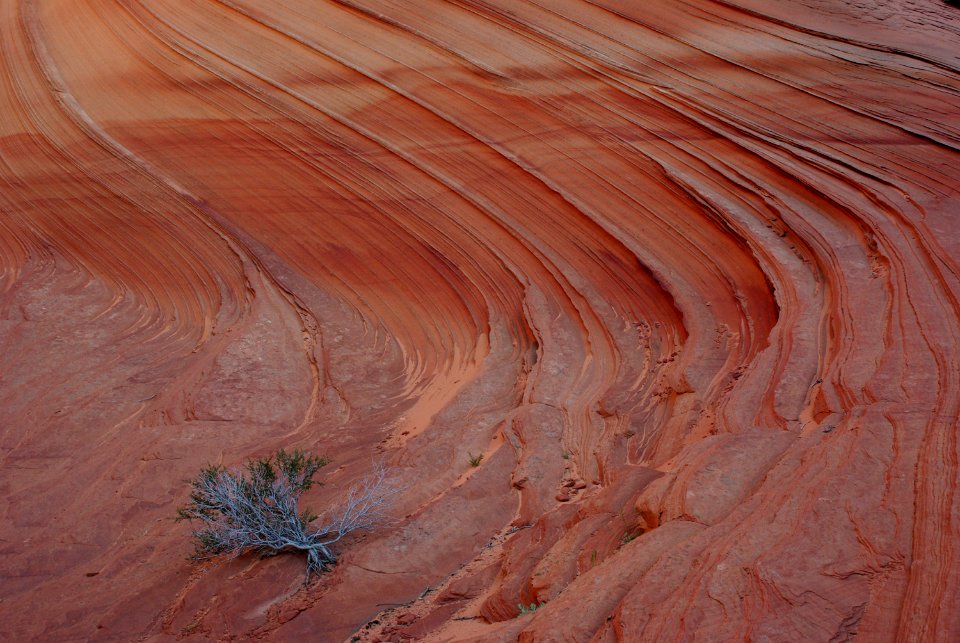 08 - South Coyote Buttes -20