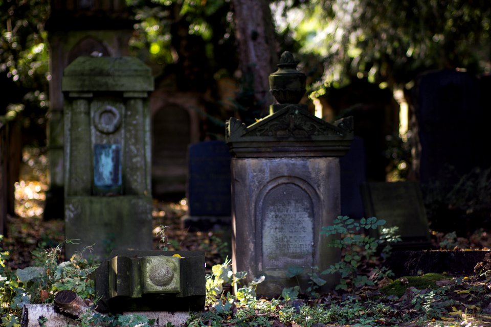 Neulich auf dem Friedhof photo