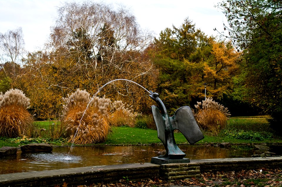 Spaziergang im Stadtpark 2