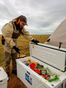 2019 Arctic Virtual Bird Fest