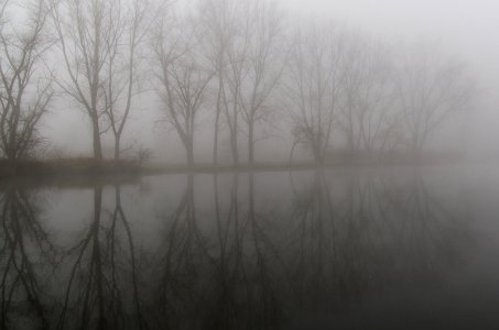 The Fog photo
