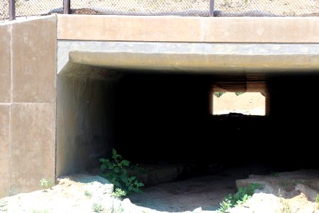 Wildlife undercrossing below SR-76 photo