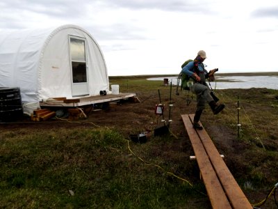 2019 Arctic Virtual Bird Fest