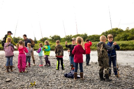 Forest of Fishing Rods