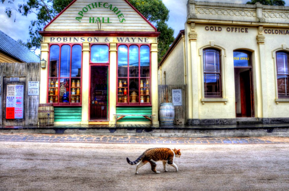 Fergus In Main Street