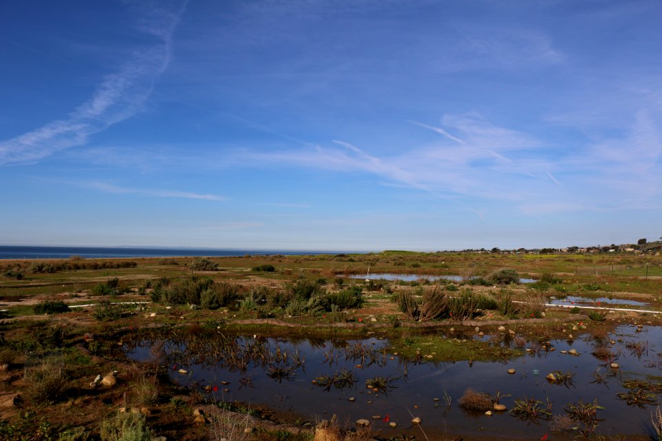 Vernal pool restoration on Camp Pendleton