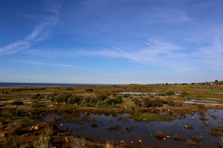 Vernal pool restoration on Camp Pendleton photo