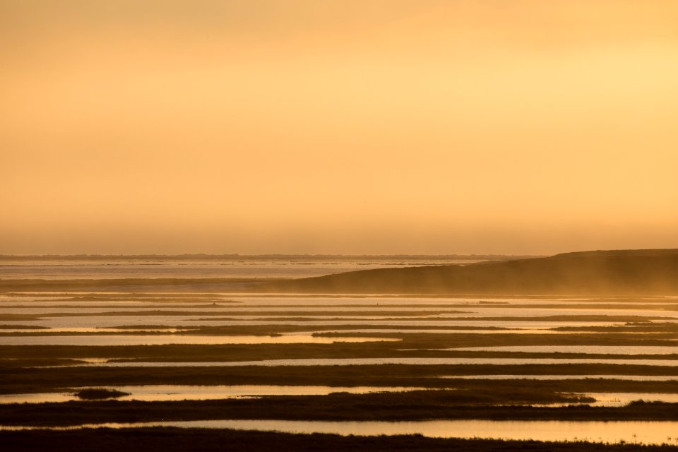 Midnight Sun Wetlands on the Arctic Coastal Plain