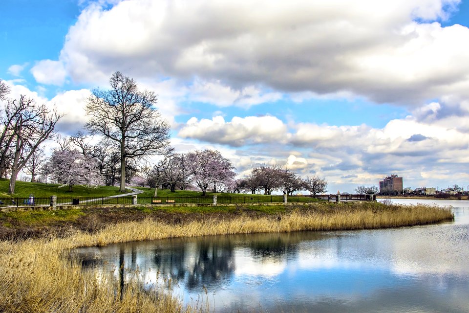Druid Hill Park