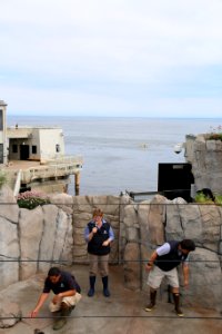 Monterey Bay Aquarium exhibit