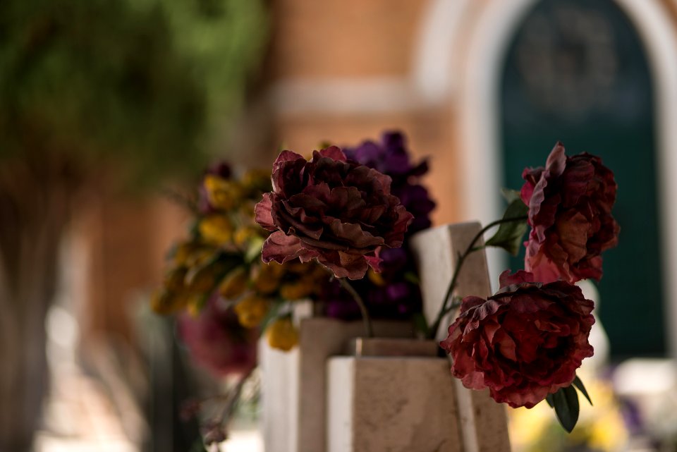 Neulich auf dem Friedhof (8)