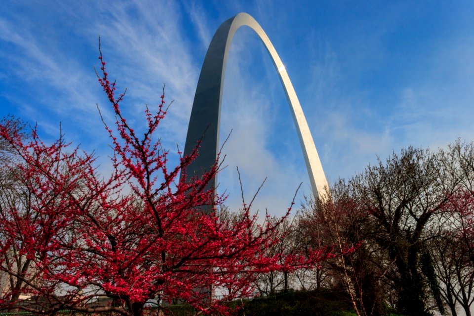 Saint Louis Gateway Arch 20120317 187