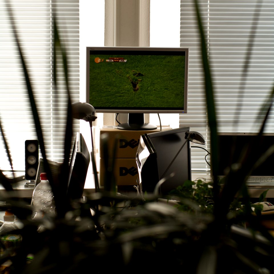 Die WM im Entwicklerbüro