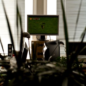 Die WM im Entwicklerbüro