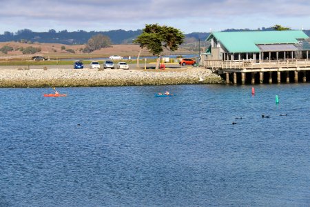 Kayakers and otters at Moss Landing, Santa Cruz County