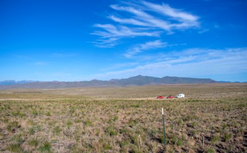 Martin Fire experimental plot, year two