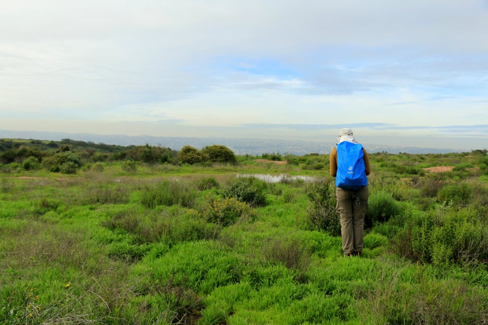 Vernal pool restoration site visit with Caltrans, SANDAG & USFWS staff