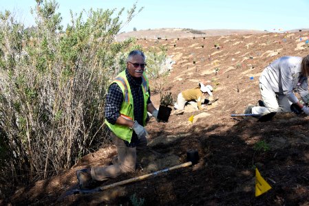 Planting native plants