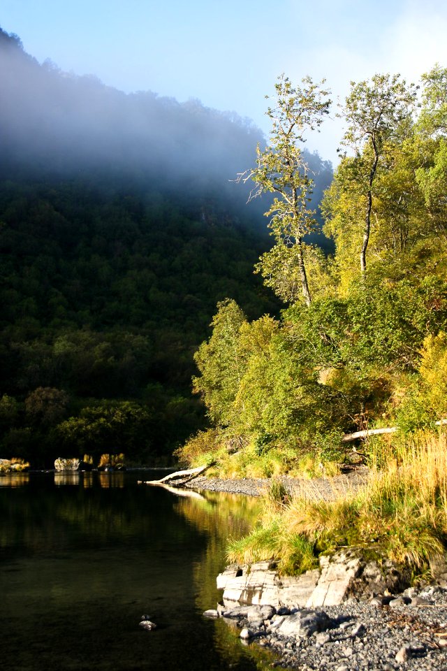 Uganik Lake Shoreline