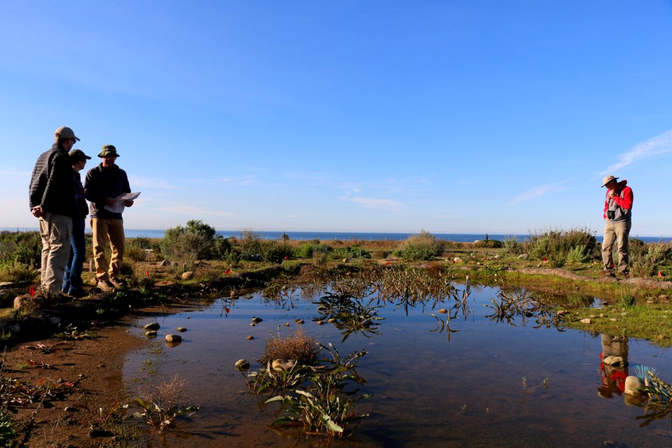 Vernal pool restoration on Camp Pendleton