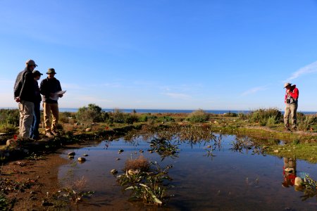 Vernal pool restoration on Camp Pendleton photo