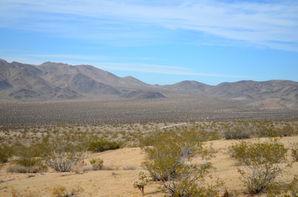 Johnson Valley, California