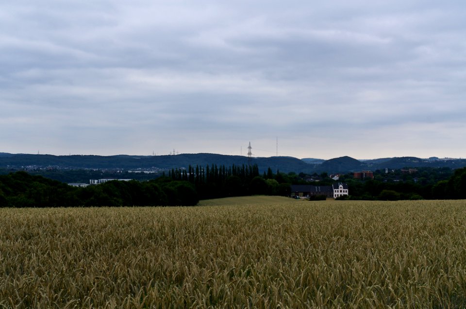 Blick Richtung Baak, Rauendahl