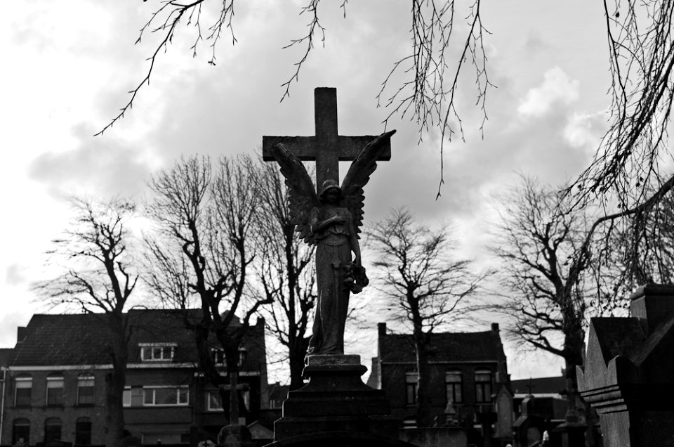 Neulich auf dem Friedhof