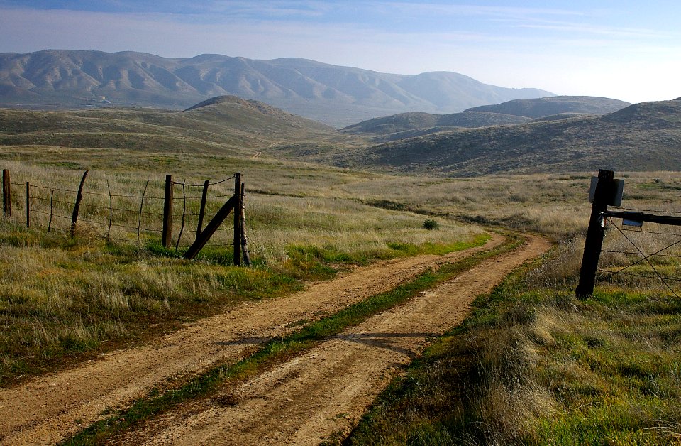 ALONG PIPELINE RD- 2