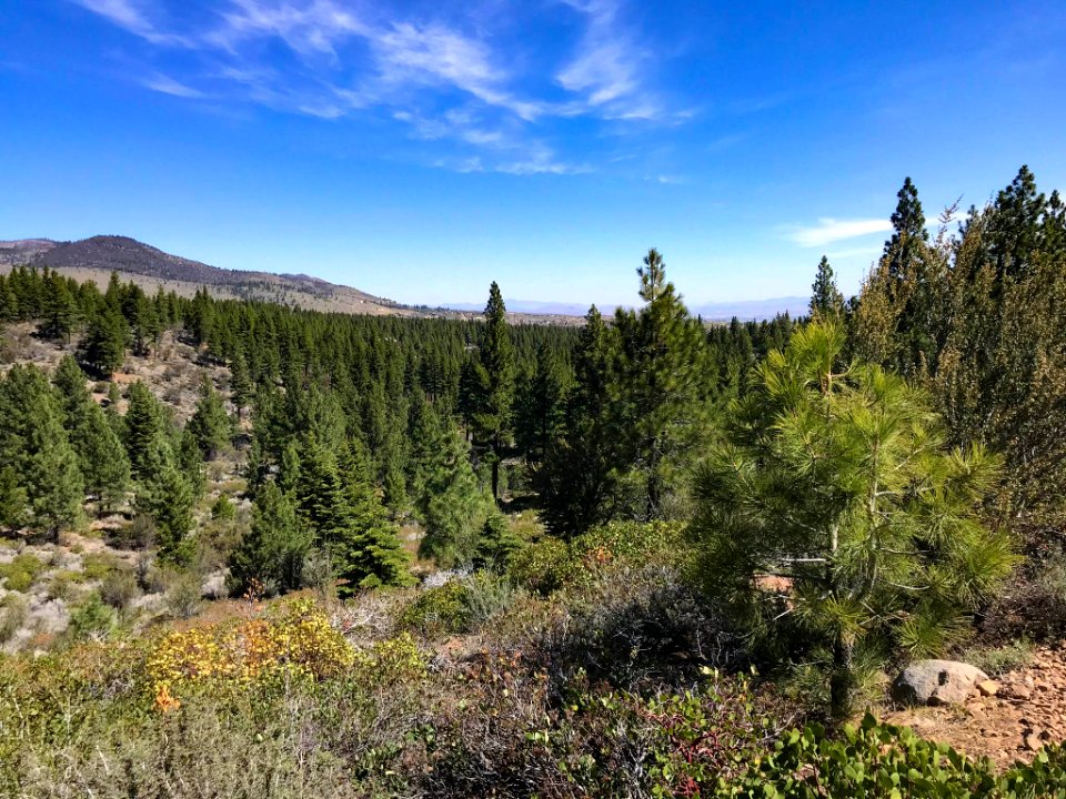 Hiking trail in the Sierra Nevada in Nevada